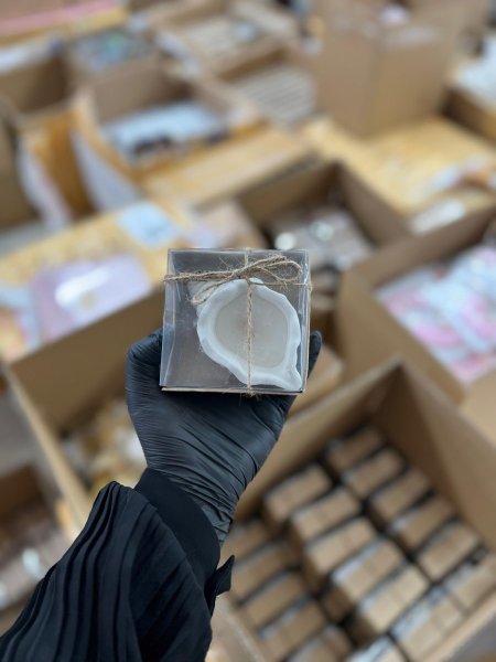 شمعة صدفة جبس